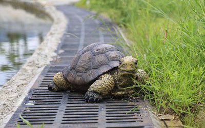 戶(hù)外花園玻璃鋼仿真動(dòng)物烏龜?shù)袼?>
	                <div>戶(hù)外花園玻璃鋼仿真動(dòng)物烏龜?shù)袼?/div>
	            </a>
	        	            <a href=